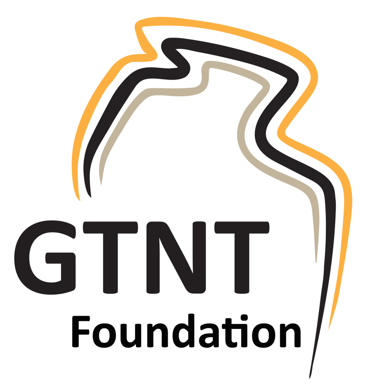 GTNT Foundation