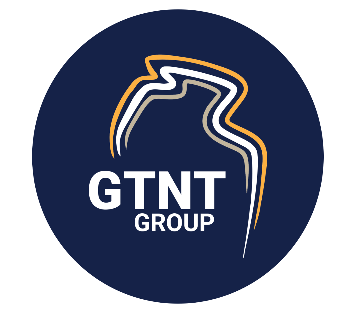 GTNT Group GTO