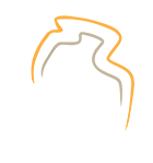 GTNT Group
