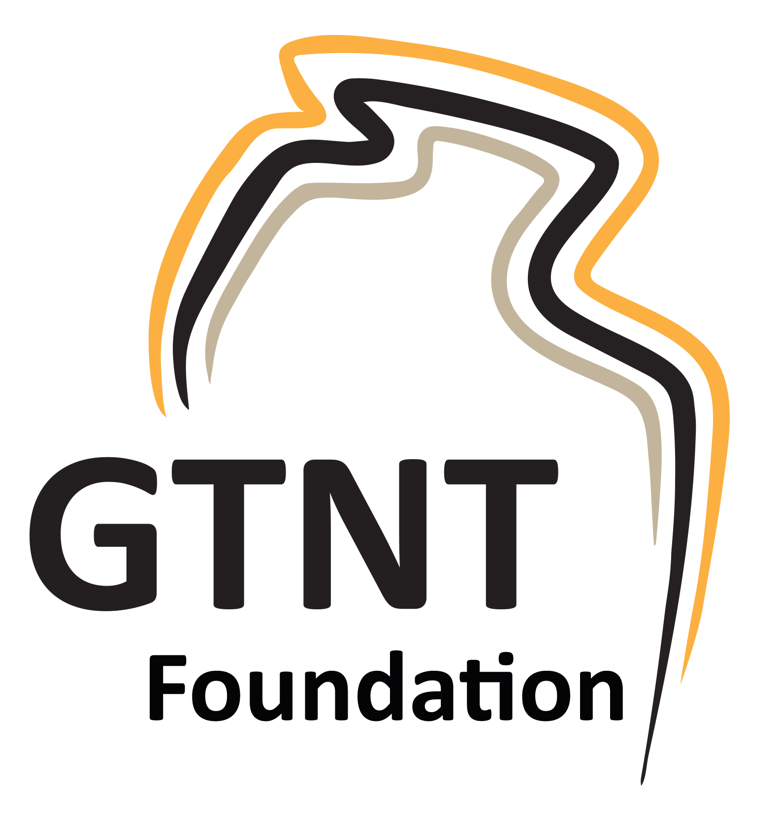 GTNT foundation