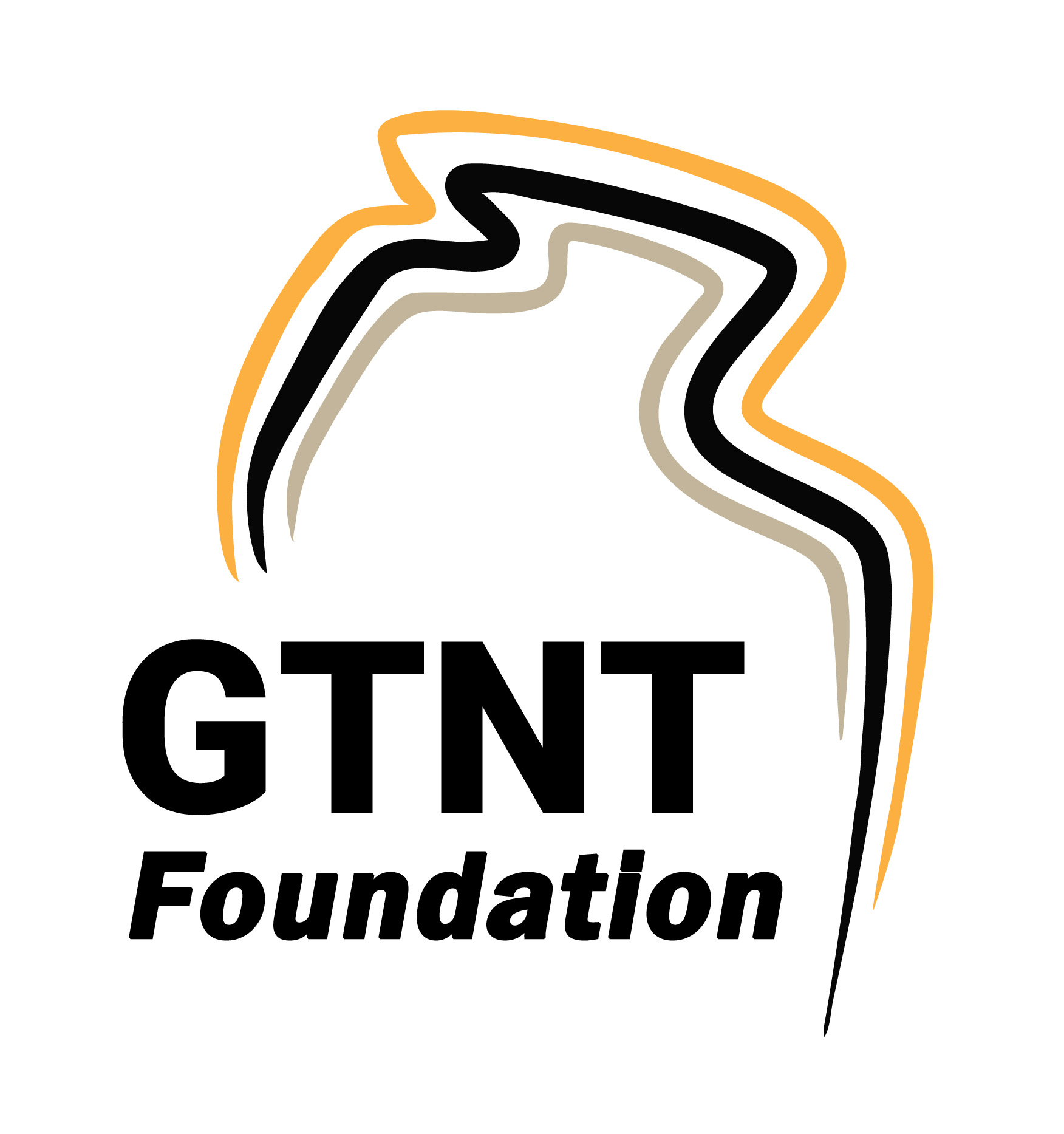 GTNT Foundation 